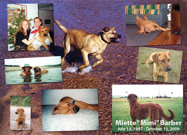 To Our Mimi